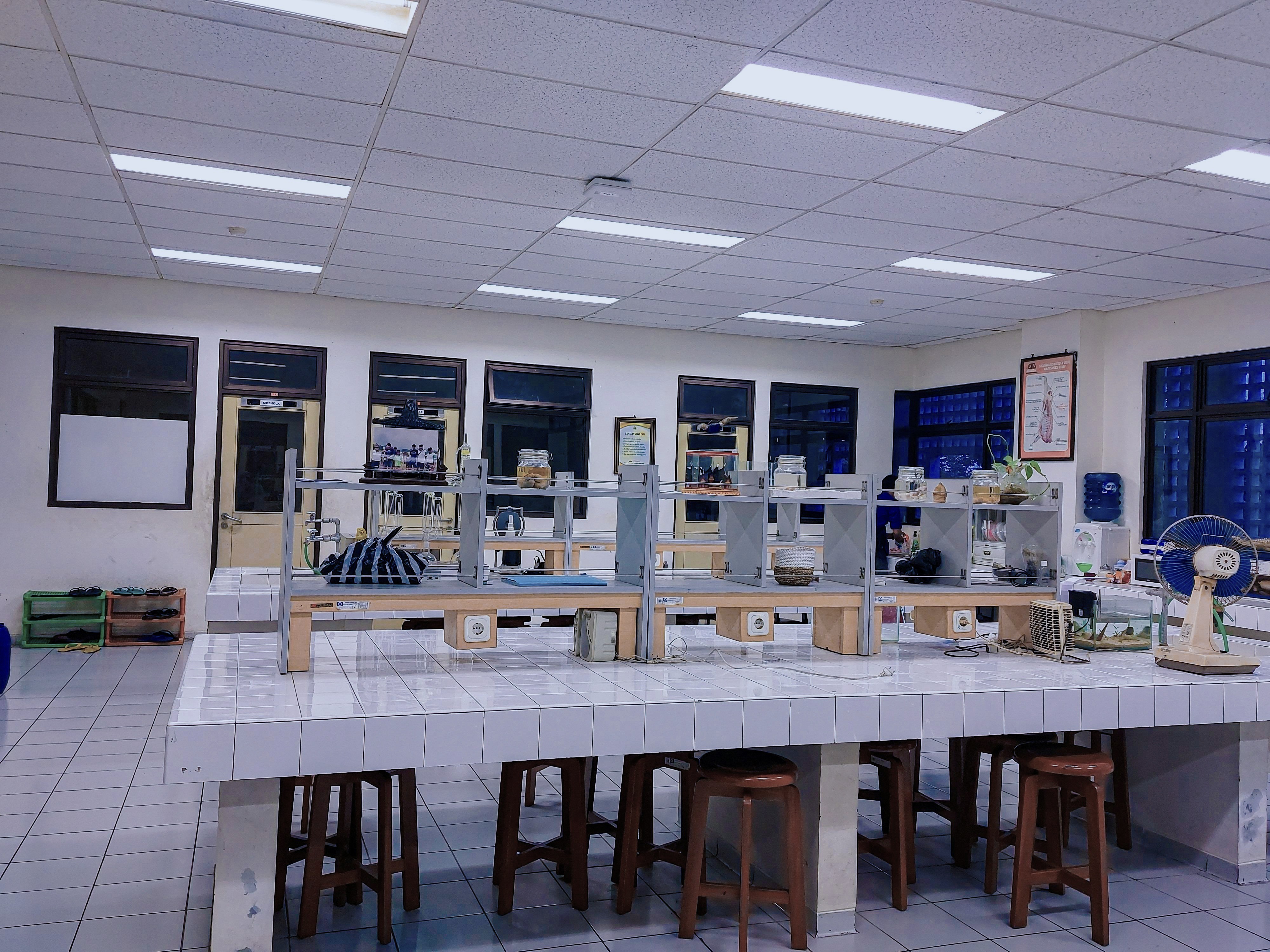 Lab view 7